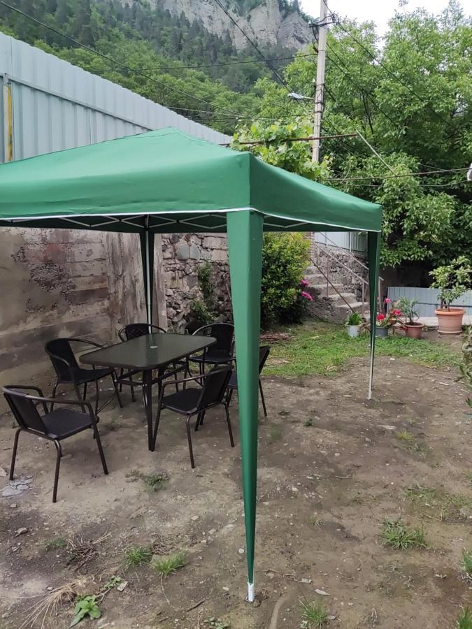 Ati Mta - Eco Hostel Borjomi Dış mekan fotoğraf