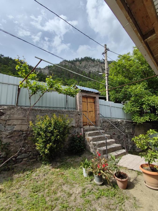 Ati Mta - Eco Hostel Borjomi Dış mekan fotoğraf